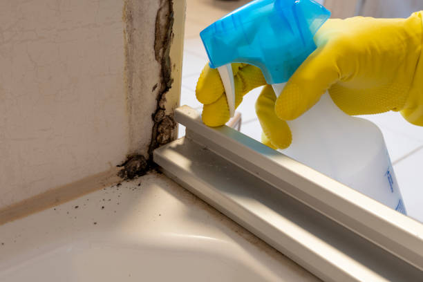 Best Forensic Mold Investigation  in Rutledge, GA