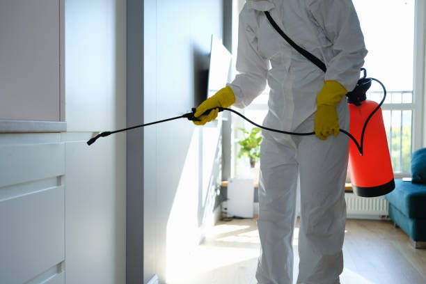 Why You Should Choose Our Mold Remediation Services in Rutledge, GA