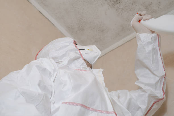 Best Emergency Mold Remediation  in Rutledge, GA