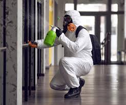 Best Asbestos and Lead Testing During Mold Inspection  in Rutledge, GA